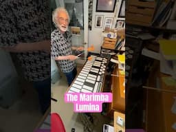 Uncle Mark & The Marimba Lumina