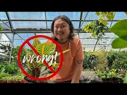Stop Buying the Wrong Plants | Beginner Help