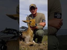 Quinton De Kock’s PERFECT Bow Shot at a Mountain Reedbuck🏹
