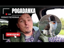 Pogadanka #4 Rogacz też roguje