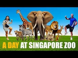 🦁 Is Singapore Zoo Worth It? | Full Tour, Travel Tips & Costs!