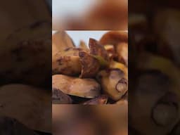 Seasonal delicacy: Wild mushroom feast