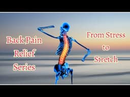 Introducing Back Pain Relief Series