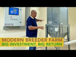 MODERN CHICKEN BREEDER FARM, BIG INVESTMENT, BETTER PERFORMANCE, BIG RETURN ON INVESTMENT