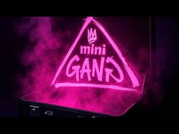 A new gang has arrived… MINI GANG