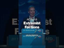 The AfD has many confirmed extremist branches