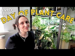 My Daily Plant Routine 🌿✨ Welcome to the Jungle!