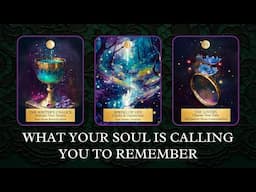 What Your Soul is Calling You to Remember - Pick A Card - Tea Leaf Reading