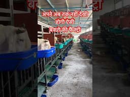 अभी तक नहीं देखी होगी ऐसी बकरो की फैक्ट्री ।। yuvaan agro farm