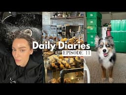 moving vlog,  packing up,  last days at my apartment | daily diaries ep. 11