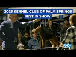 2025 Kennel Club Palm Springs Best in Show