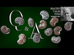 Q&A -  Macro Talk Too #147 - 6/19/25