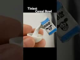 Let’s make Cereals 🥣 #DIY #craft #polymerclay #art #food