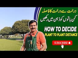 Importance Of Plant To Plant Distance And Results | Gardening With Javed Iqbal