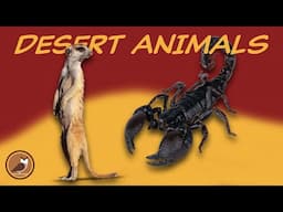 Animals of the Desert Biome🐪 Camel, Tortoise, Gila Monster, Fennec Fox...