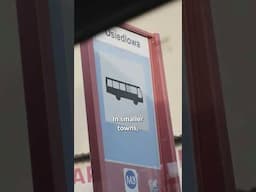 What's the impact of free public transport? 🚍💸 #poland #publictransport #freeservice