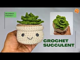 How to Crochet a Mini Succulent Pot Plant | Crochet tutorial for Beginners | Easy Crochet Gift Ideas