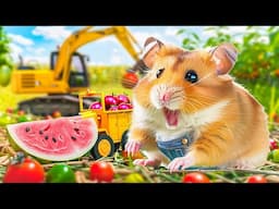 Epic Adventure Hamster Escape High-Tech Robot Maze | Hamster Maze