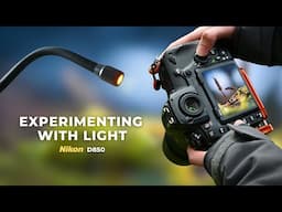 Macro Lighting Experiment: Natural vs Artificial