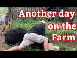 A real Rodeo day