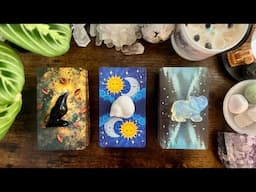 WHO is coming towards YOU in LOVE? 🐦‍⬛🐈🐘❤️🤔 PICK A CARD READING 🤔❤️🐘🐈🐦‍⬛ TIMELESS ⏳⏳⏳