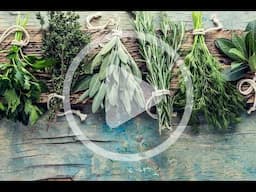 Herbs for Every Season
