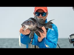 Filmed Today: 60-Second Seabass