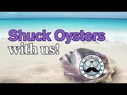 Shuck Oysters With Us!