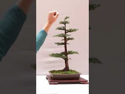 Small Improvements Make Big Differences