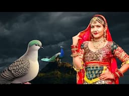 पूरी दुनिया दीवानी हो गई इस कानुड़ा भजन के पीछे आप भी एकबार जरूर सुने-2025 New Superhit Kanuda Bhajan