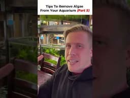 Stop Algae: Test Water for Excess Nutrients