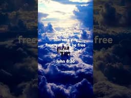 🇮🇱 John 8:36 ✝️ #ThankYouYeshua #ThankYouYHWH #ThankYouHolySpirit #YHWH #Jesus #Yeshua #HaMashiach
