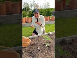If you have a broken pot, here’s how to use it!