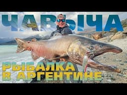 Серебро воды: Чавыча и магия аргентинских рек