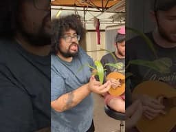 PLANT SONGS ARE OUR THING!