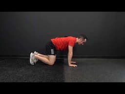 Quadruped Pelvic Tilt
