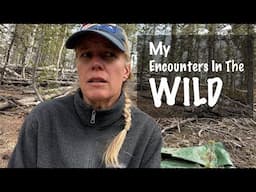 Encounters In The Wild- S9-3