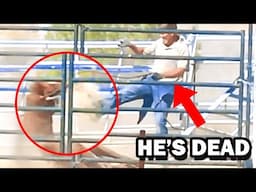 Famous Vet Found D**d After Kicking A Horse In Face