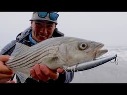First Striped Bass of 2025 - California Surf Fishing