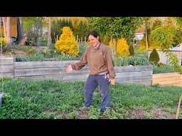 Let’m Grow | Homestead Vlog | Garden Update | April 11, 2025