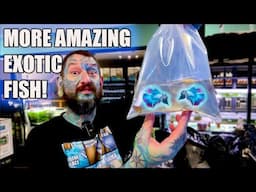 CHECK OUT THESE AMAZING EXOTIC FISH! Pauls Aquariums Unboxing