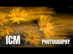 ICM photography took me BACK 40 years