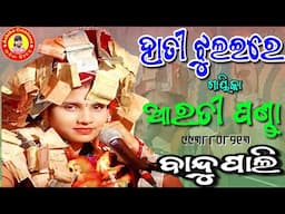 ହାତୀ ଝୁଲଇରେ/Hati jhulaire/Arati Panda/9938808213/at-Bandupali/Ashika Creations