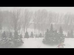 #tempête #2025 #neige #snow #winter #13fevrier2025#montreal #quebec #canada