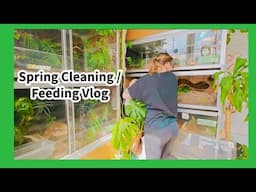 Spring Cleaning/ Feeding Vlog