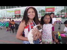 Festival de doações de animais acontecerá neste sábado