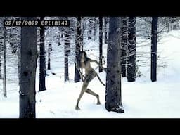 30 Most Convincing Skinwalker Encounters Caught on Camera