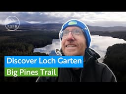 See the giant pines at RSPB Scotland Loch Garten