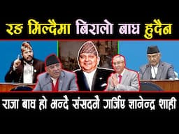 राजा बाघ हो भनेपछि संसदमा खैलाबैला यसरी गर्जिए ज्ञानेन्द्र शाही ओलीलाइ चेतावनी #raja #gyanendrashahi