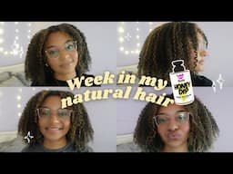 TRYING THE NEW DOUX HONEY BUTTER GEL | A WEEK IN MY NATURAL HAIR